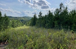 Ridgeline Drive, Vonore, TN 37885