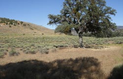 Umtali Road, Tehachapi, CA 93561
