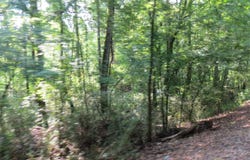 Highway 133, Wilmar, AR 71675