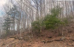 212 Jackpine Road, Beech Mountain, NC 28604