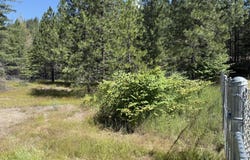 NKA E Walnut, Osburn, ID 83849