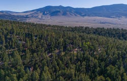 Road 9 lot: Tbd, Idlewild, NM 87718