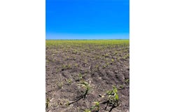 TBD Tract 4 Lund Carlson Rd, Coupland, TX 78615