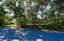 290 Atchison Avenue, Forsyth, MO 65653