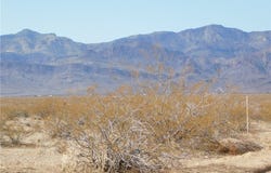 215-07-006d W Aquarius Drive, Golden Valley, AZ 86413