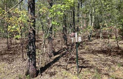 TBD Tract 7 Chaparral Lane, Mena, AR 71953