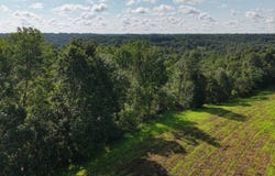 State Route 555, Cutler, OH 45724