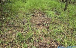 36 Acres Clairmont Springs Road, Lineville, AL 36266