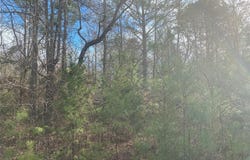 CR 2622, Marietta, TX 75566