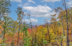 Buffalo Rd lot: O, Oneida, TN 37841