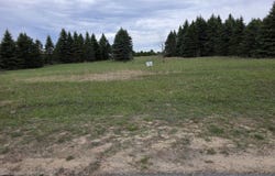 31 Blue Heron Drive, Kalkaska, MI 49646