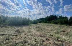Skog Road, Kettle River, MN 55757