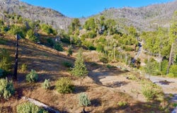 59827 Hillcrest Road, North Fork, CA 93643