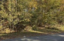 Ross Hill Road, Saint Albans, ME 04971