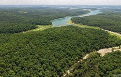 001-03000-000 Mountain Creek Road, Oakland, AR 72661