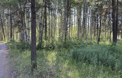 Highway 62, Chiloquin, OR 97624