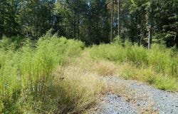 3036 Bennett Siler City Road, Bennett, NC 27208
