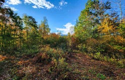 140 Hemlock Hill, Cambridge, VT 05464
