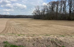 5900 Hwy 8 SOD FARM, Holcomb MS, MS 38940