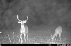00 SFC 415 county rd 415, Widener, AR 72335