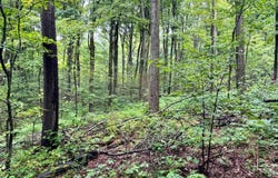 1.6 Brigham Rd, Richford, NY 13835