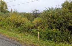 Foster Road, Homer, NY 13077