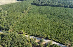 1000-1098 US-278 Highway, Warren, AR 71671