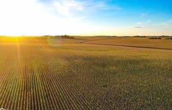 17672 Highway 14, Allison, IA 50602
