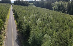 SE Clausen Rd, Estacada, OR 97023