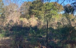 Landry Lane lot: See Survey, Eunice, LA 70535