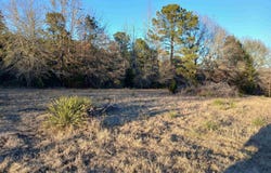 FM 2208 lot: 3, Harleton, TX 75651