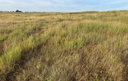 S Homestead Road, North Platte, NE 69101
