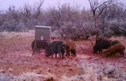 T B D FM 600, Haskell, TX 79521