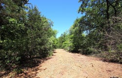 CR 4552, Winnsboro, TX 75494