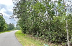 FM 2937/Old Arco Road, Silsbee, TX 77656
