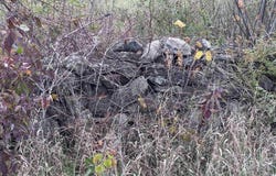 1976 County Route 49, Winthrop, NY 13697