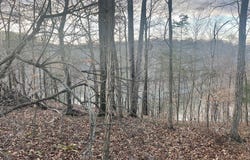 Pleasant View lot: 82, Nancy, KY 42544