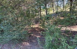Robin Run lot: 9, Bastrop, TX 78602