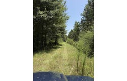 Parcel 4 Miller Farm Rd, Lumberton, MS 39455