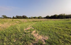 ELM BRANCH lot: 14, Elm Mott, TX 76640