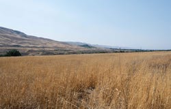 Hess Rd, Lot 5, Prosser, WA 99350