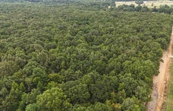 23 LR County Road, Ashdown, AR 71822
