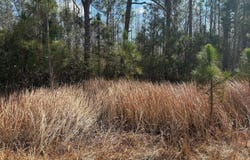 Old Grade Road, FL 33868