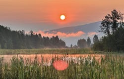 203 Pomrankey Ln, Dover, ID 83825