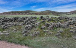 8400 N Treaureton Rd, Preston, ID 83263