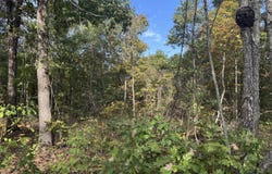 Tbd Yy Highway, Norwood, MO 65717