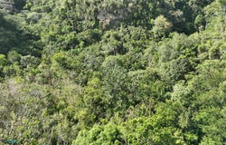 Hato Viejo, Arecibo, PR 00612