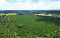 Greenwood, FL 32443