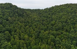 Yellow Creek Rd, Louisa, KY 41230