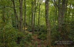 Fieldstone Heights Drive lot: 3, Blowing Rock, NC 28605